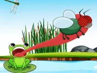 image Hungry Frog