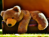 image Plush Teddy Bear