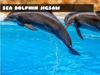 image Sea Dolphin Jigsaw