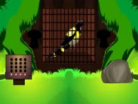 image Black Bird Escape