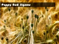 image Poppy Bud Jigsaw