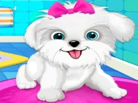 Puppy: Pet Salon &amp; Dog Daycare