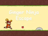 image Ginger Ninja Escape