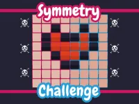 image Symmetry Challenge