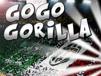 image Go Go Gorilla