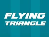 image Flying Triangle