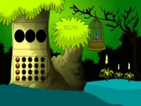 image Cage Bird Escape