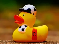 image Yellow Ducks Puzzle