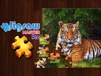 image Jigsaw Master Pro