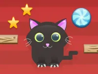 image Cut For Cat