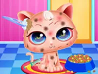 Cute Kitty Care - Pet Makeover
