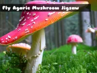 image Fly Agaric Mushroom