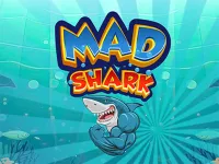 image Mad Shark Fish