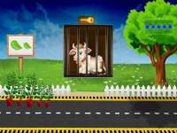image Cow Escape
