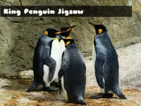 image King Penguin Jigsaw
