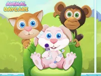 Baby Animal Daycare