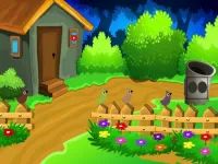 image Colourful Garden Escape