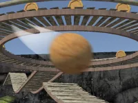 image Roller 1