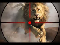 image wild life hunting