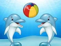 Dolphin Show image