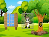 image Rescue the Panda Explorer
