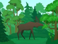 image Wild Animals Coloring