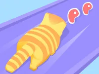 image Cat Evolution