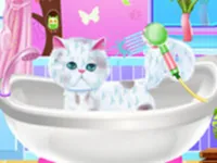 image Pet Groomer