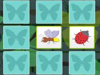 image Kids Memory - Insects