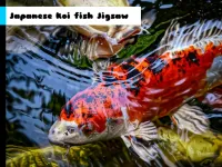 image Japanese Koi Fish Jigsaw