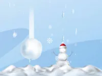 image Protect From Snow Balls