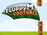 image Floppy Football