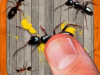 image smash the insectt