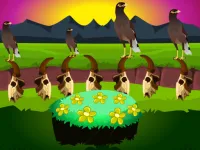 image Myna Land Escape