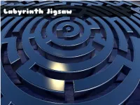 image Labyrinth Jigsaw