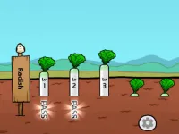 image Radish