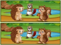 Spot The Differences Forests
