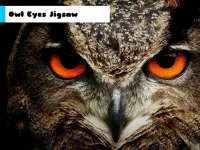 image Owl Eyes Jigsaw