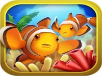 image Fish Garden - My Aquarium