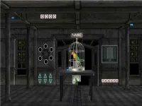 image Parrots Escape