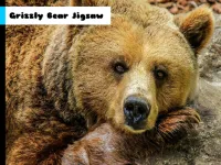 image Grizzly Bear Jigsaw