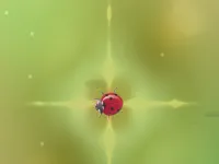 image Pest Control