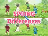 image Spring Differences