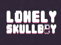 image Skullboy Master