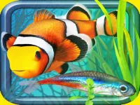 image Fish Farm - Aquarium Simulator