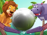 image Zoo Pinball