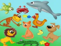 image Find Animal - Animal Touch