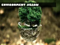image Environment Jigsaw