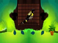 image Love Bird Rescue