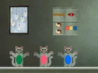 image Kitty Escape